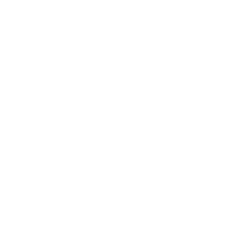 Intégrité conseiller immobilier